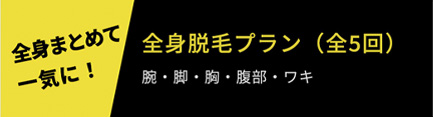 全身脱毛プラン（全5回）