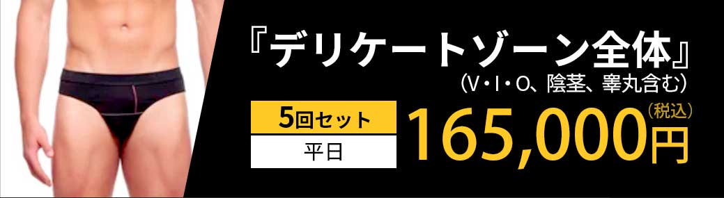 「デリケートゾーン全体」5回セット 平日 165,000円（税込）