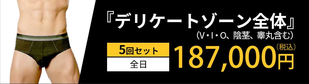 「デリケートゾーン全体」5回セット 全日 187,000円（税込）