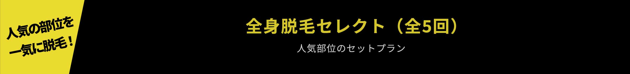 人気の部位を一気に脱毛！全身脱毛セレクト 人気部位のセットプラン